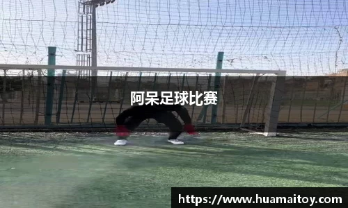 阿呆足球比赛